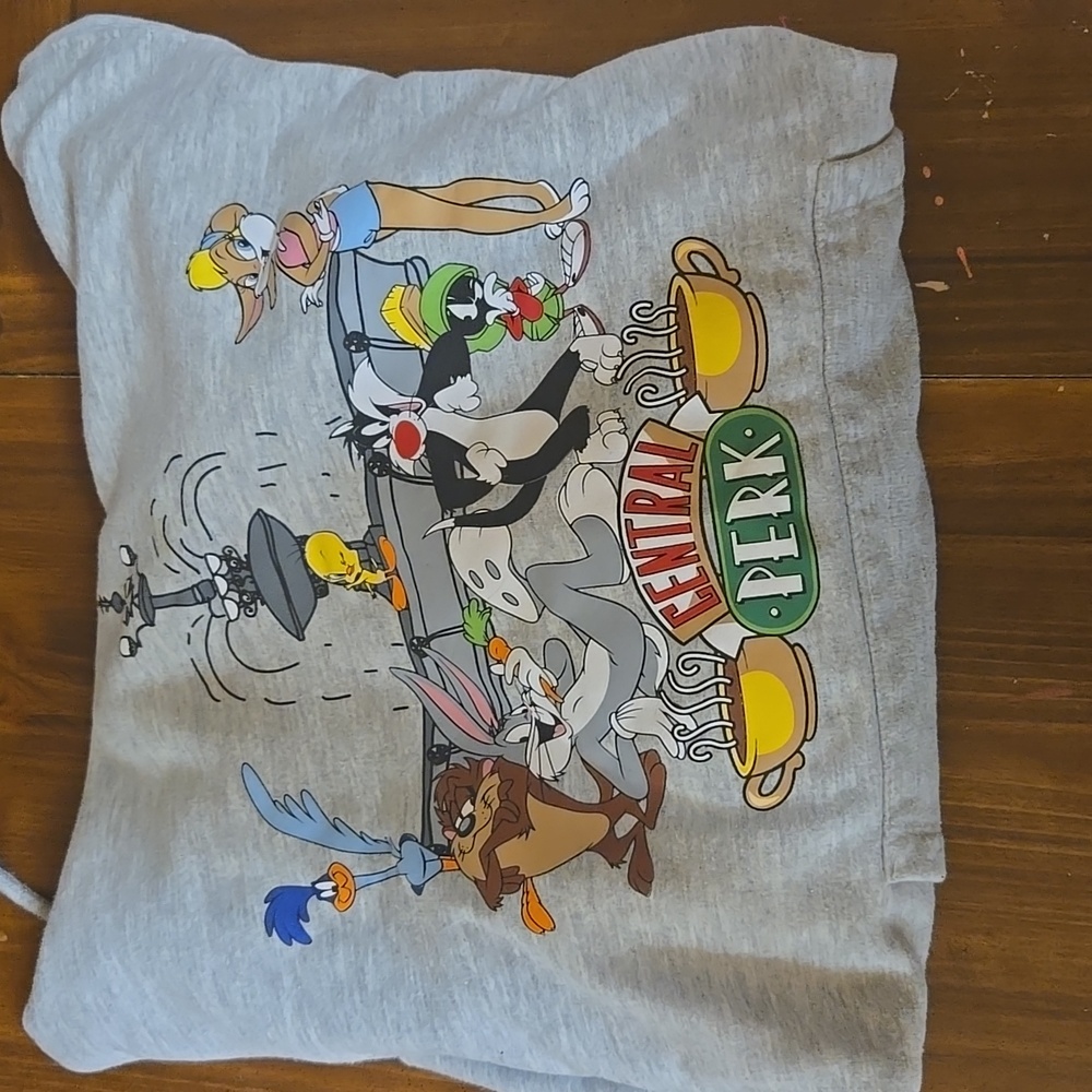 Central Perk/looney toones hoodie